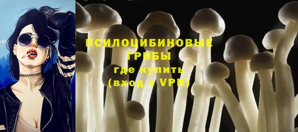 spice Киреевск