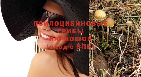 мдпв Киренск