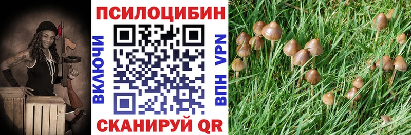Купить  Фатеж  Псилоцибиновые грибы ЛСД 